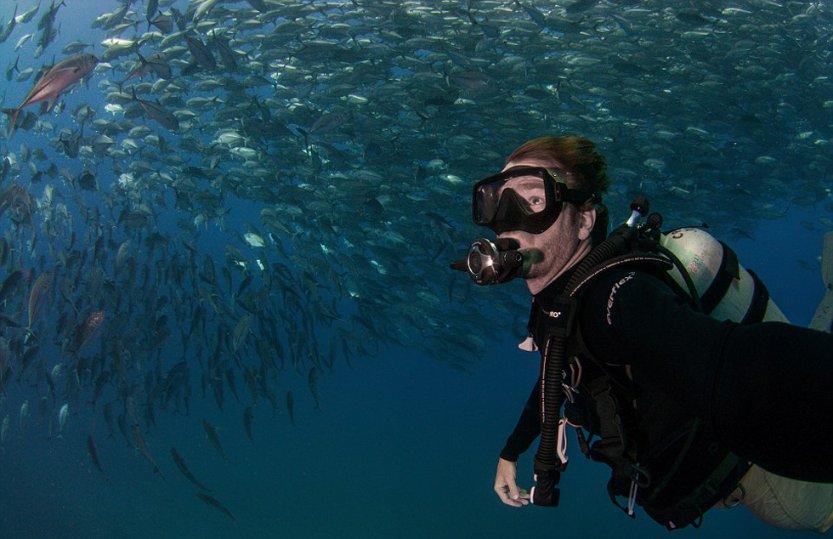 海底的秘密